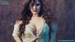 Zareen Khan: Debut film Veer 2010