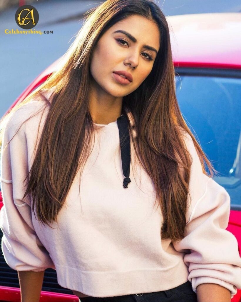 Sonam Bajwa Biography Age Background And More Celebanything 