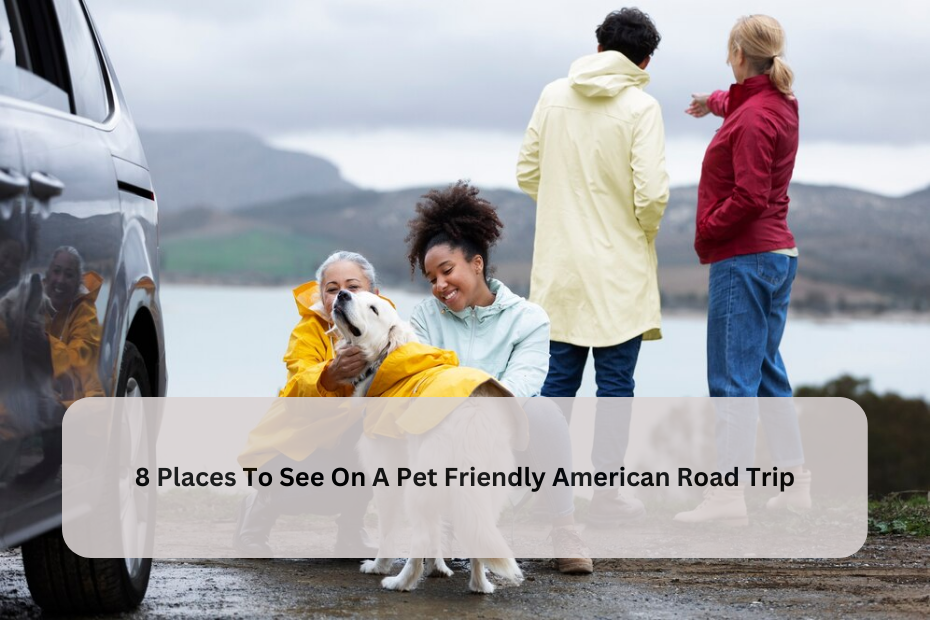 8 Places To See On A Pet Friendly American Road Trip